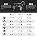EzyDog Chest Plate No Pull Dog Harness – Escape Proof Harness with Reflective Stitching and Comfort Padding for Easy Walks, Training & Control - Car Restraint Included (Large, Black)