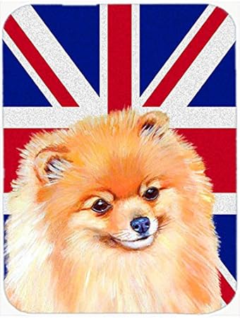 pomeranian english
