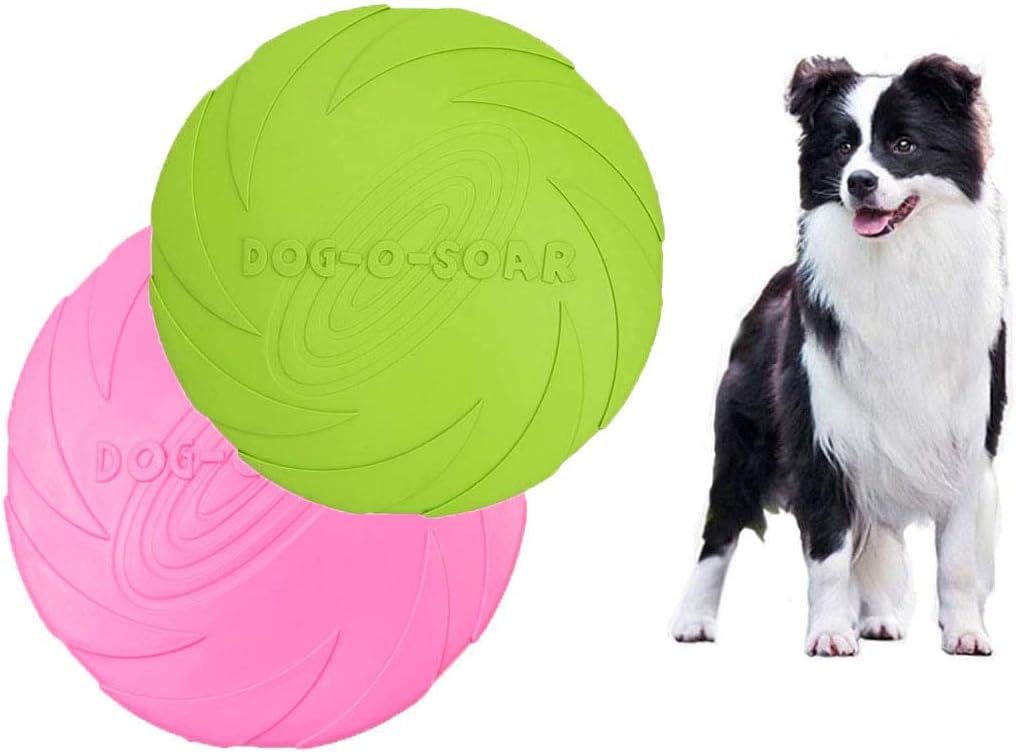 border collie frisbee training