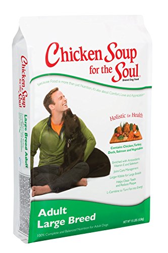 Chicken Soup for the Soul Large Breed Adult Dog 30lb