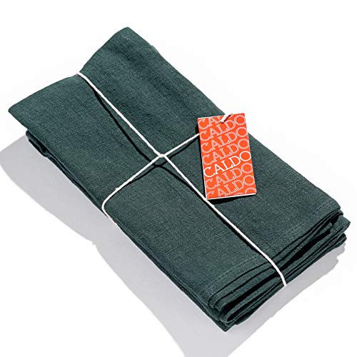 Caldo Linen Dinner Napkins - Soft and Durable Cloth - 4 Pack - 20x20 inch (Spruce)