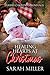 Healing Hearts at Christmas by Sarah Miller