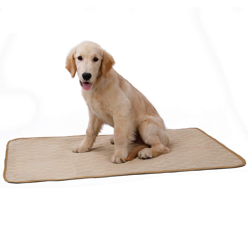 BT Bear Pet Pee Pad,Waterproof Dog Blanket Washable Pee Dog Cat Pads Anti-Slip Washable Reusable Super Absorbency Quick-Dry Dog Large Training Pads for Sofa, Car, Cage, Grass, Bed (Small-60 * 45cm)