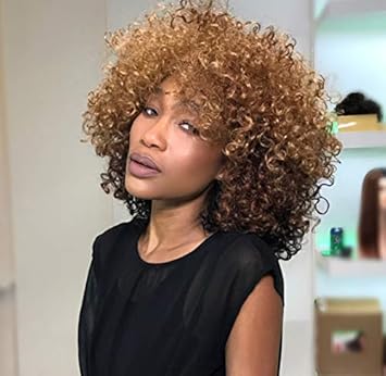 Ilona Hair Synthetic Afro Curly Hair Wigs For Black Woman Short