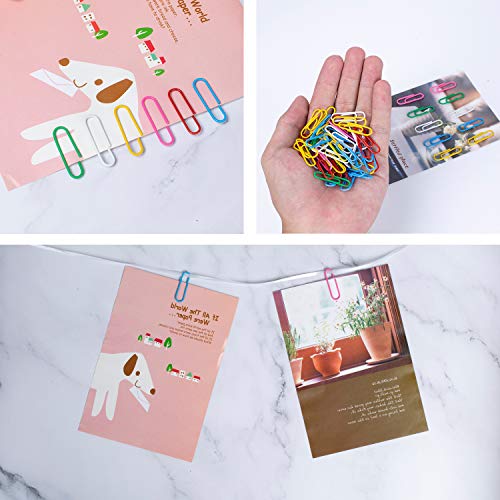 image for A+DAY 240 pcs Binder Clips, Paper Clips, Rubber Bands, Paper Clamps As