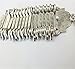 SUNSCSC Antique Turkish Boho Coin Jewelry Coachella Festival Tribal Ethnic Statement Bracelet Alloy