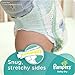 Pampers Baby Dry Diapers, Size 3, 160 Count