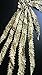 1pcs Embroidery Long Peacock Feather Motif Venise Lace Collar Supplies Women DIY Manual Lace Fabric Trim Crafts (Gold)