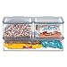iDesign Plastic BPA-Free Pantry Food Storage Organizer Bin with Air-Tight Hinged Lid, 1.5 Quart Container for Kitchen, Fridge, Freezer, Cabinet, 5.5