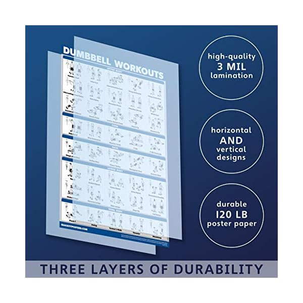 10 Pack - Exercise Workout Poster Set - Dumbbell, Suspension, Kettlebell, Resistance Bands, Stretching, Bodyweight, Barbell, Yoga Poses, Exercise Ball, Muscular System Chart (LAMINATED,18" x 24") - Image 3