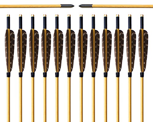 Albertu 12 Pcs Hunting Arrows Wooden Target Arrows 5" Turkey Feather Fletching Archery Arrows with Field Points for Recurve Bow or Longbow