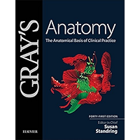 Gray's Anatomy E-Book: The Anatomical Basis of Clinical Practice