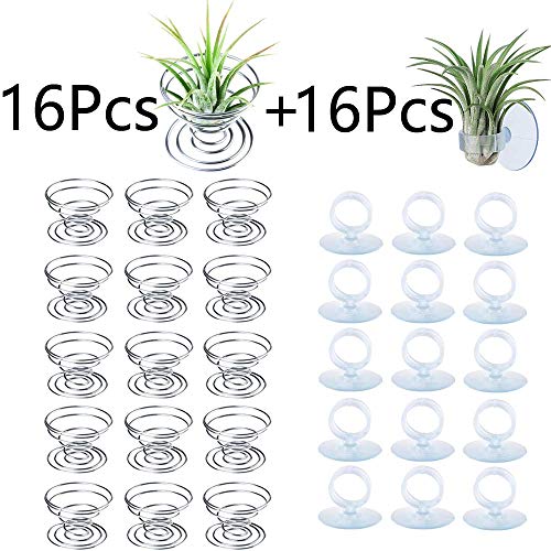 fairy maker 32Pcs Air Plants Holders – 16 Pieces Air Plant Stand and 16 Pieces Window Tillandsia Holder