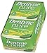 Dentyne Pure Mint with Melon Accents Sugar Free Gum, 10 Packs of 9 Pieces (90 Total Pieces)