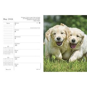 What Goldens Teach Us 2018 Engagement Calendar