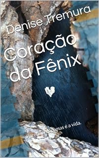 Livro Coração da Fênix