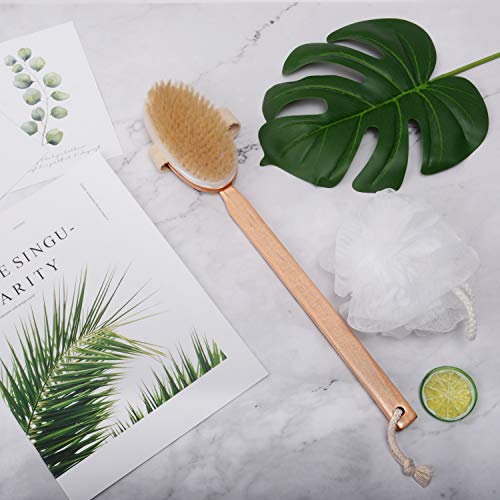 Body Brush for Bath or Shower - Dry or Wet Skin Exfoliating Long Wood Handle Back Scrubber with White Sponge - Thumbnail 2