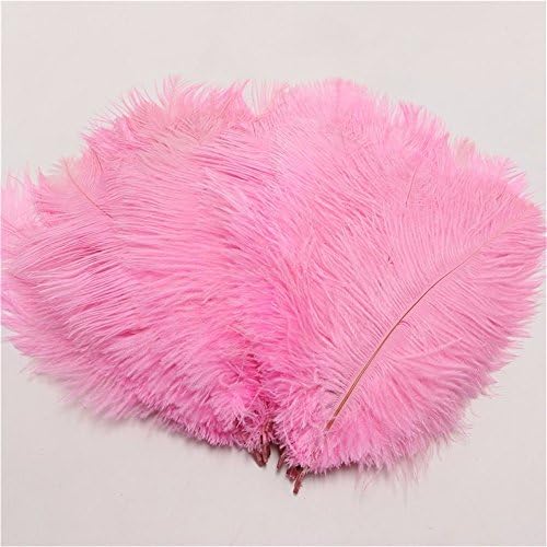 WAKEACE Ostrich Feathers 10-12inch/25-30CM 20pieces Wholesale Discount DIY Wedding Decoration Clothing Accessories