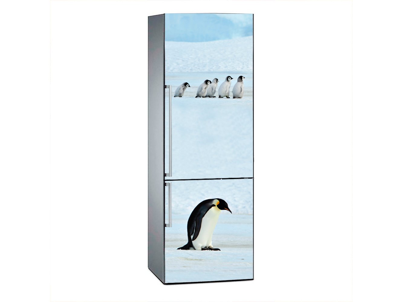 Oedim Vinilo para Frigorífico Pinguinos 200 x 70 cm | Adhesivo ...