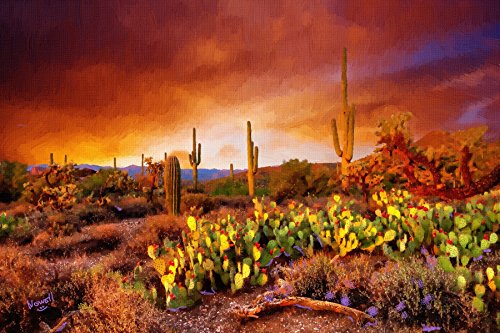Stunning Arizona Desert Cactus Sunset - Arizona Wall Decor