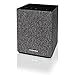 Toshiba TY-GC1000 High Resolution Google Cast Wireless Bluetooth Audio Speaker, Dual 2.5 Driver, Aux Input, and AC/DC Adapter
