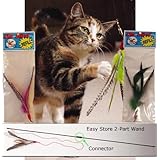 CoolCyberCats Da Bird Pull Apart Value Pack (1 Pull Apart Da Bird Pole Cat Toy & 2 Extra Guinea Feather Refills)