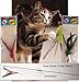CoolCyberCats Da Bird Pull Apart Value Pack (1 Pull Apart Da Bird Pole Cat Toy & 2 Extra Guinea Feather Refills)