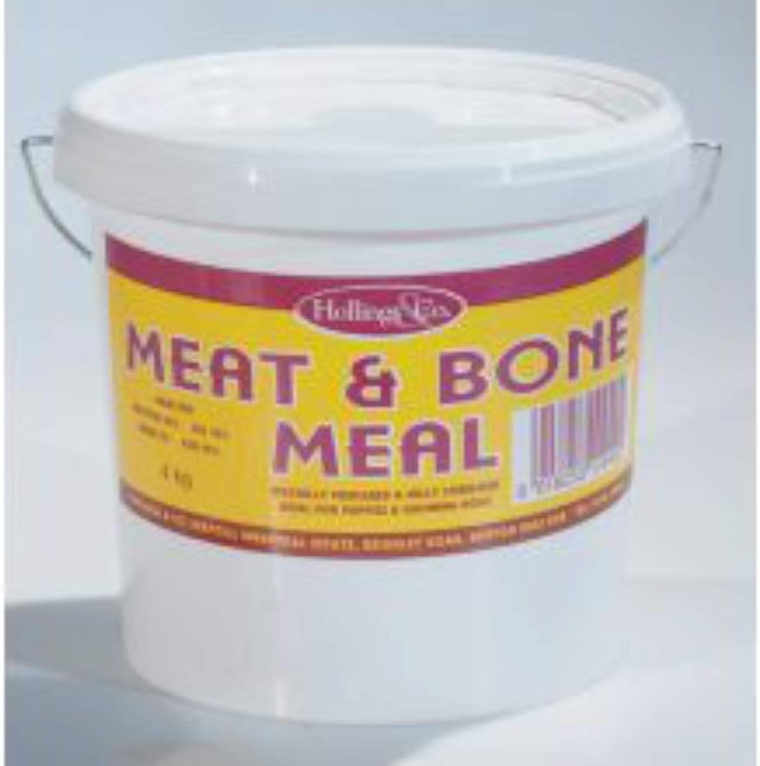 live fish for sale near me