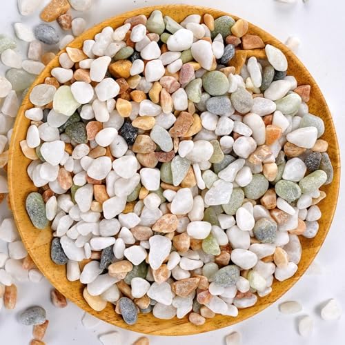 TOYPOPOR Mixed Color Decorative Stones - White, Green, Yellow - 2.2 lbs - 1/5" to 3/8" - Plants, Vases, Aquariums - Natural Stone - 300 Count - 7.5 mm - Commercial Grade