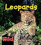 Leopards (In the Wild)