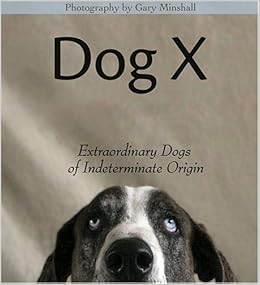 dog and x