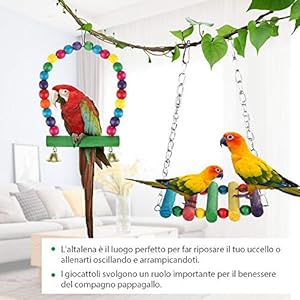 Zacro Giochi per Uccelli pappagalli, 7 Pezzi Giocattoli da Masticare, Giocattoli a Campana, per Animali di Piccola… Zacro Zacro Giochi per Uccelli pappagalli, 7 Pezzi Giocattoli da Masticare, Giocattoli a Campana, per Animali di Piccola…