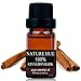 Nature Hue - Cinnamon Bark Essential Oil 10 ml, 100% Pure Therapeutic Grade, Undiluted