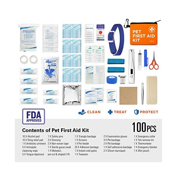 cat first aid kit list