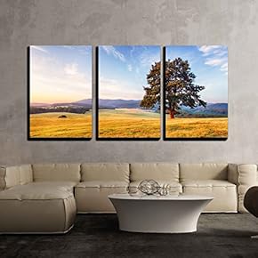 3 Piece Canvas Wall Art - Spring Landscape with Tree and Sun - Modern Home Art Stretched and Framed Ready to Hang - 16"x24"x3 Panels