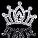Small Princess Crowns Tiaras Party Favors for Women Girls Toddler Bulk Combs Clips Hair Accessories Pack of 12