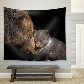 Brown Bear - Ursus Arctos - Fabric Wall Tapestry Home Decor - 51x60 inches