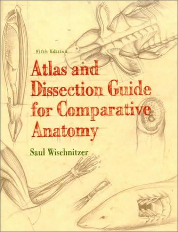 An Atlas of Histology: Zhang, Shu-Xin: 9780387949543: Amazon.com