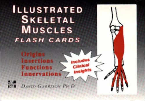 ILLUSTRATED SKELETAL AND MUSCLE FLASH CARDS