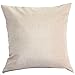 Highpot Hot Body Pillowcases, Cartoon Fox Pattern Square Pillow Cushion Hidden Zipper Closure Pillowcases (D)