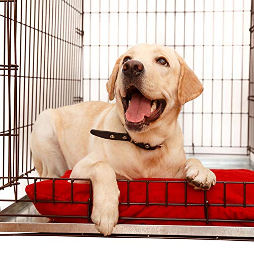 KOPEKS Galvanized Metal Tray for Dog Crates, Pet Kennels, Restaurant