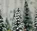 Snowy Evergreen Tree - 2