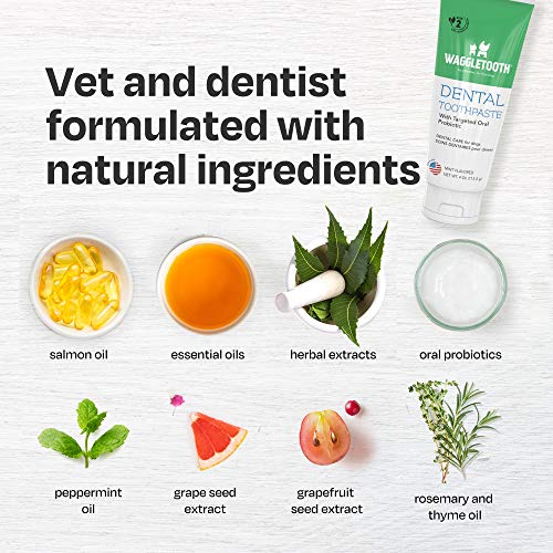 Natural Dog Toothpaste Enzymatic with Probiotics Toothpaste for Dogs