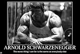 Arnold Schwarzenegge Body Building Nice Silk Fabric Cloth Wall Poster Print (36x24inch)