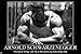 Arnold Schwarzenegge Body Building Nice Silk Fabric Cloth Wall Poster Print (36x24inch)