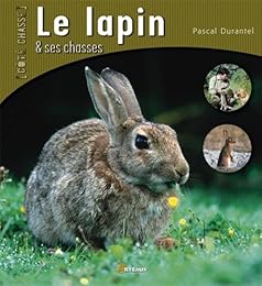 Le  lapin et ses chasses