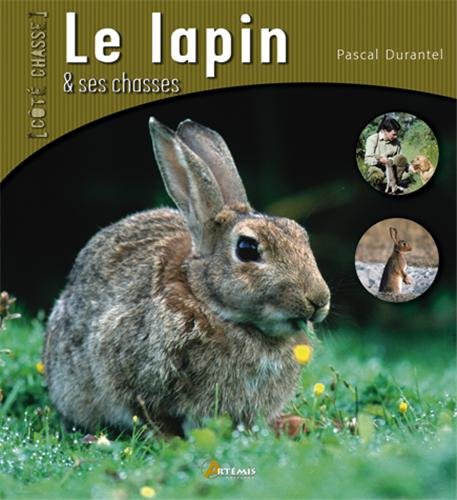 Le  lapin et ses chasses