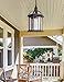 Trans Globe Lighting 4183 RT Wentworth Collection One Light Outdoor Hanging Lantern I in a Rust Finish I Traditional Style Light Fixture I