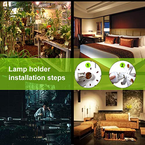 6 8T8+Splitter+Standard+Converter+Commercial