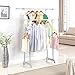 Rackaphile Double Rail Adjustable Rolling Clothing Garment Rack with Side Rods, Swing Arm Holders and Wheels